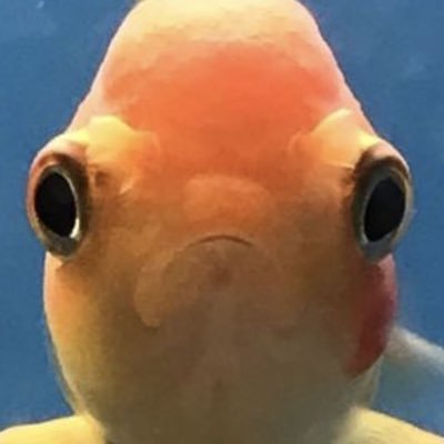 p024qy's profile picture. ded