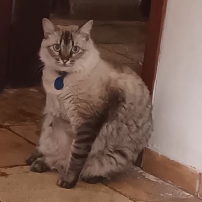 alb_ruy's profile picture. {Ela/Dela} Brasilian artist {She/Her}