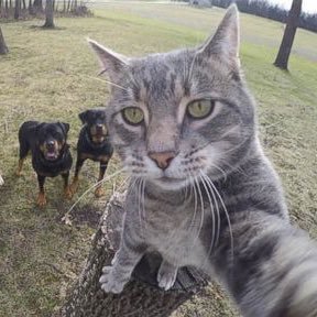 Batjon3's profile picture. Ceo & Founder of @Culvers