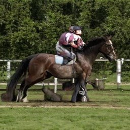 BridgetCar92865's profile picture. 