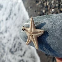 Mehmet Ali Eminoğlu (@mali_eminoglu) Twitter profile photo