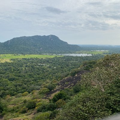 nataliaxnaza's profile picture. 