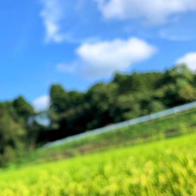 毎日酔っています🫠無言フォロー失礼します💭