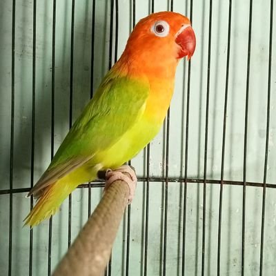 Hhhhh...ga tw mw ngmg apa..udh bikin ke 3x nya ini.berteman dgn siapa saja