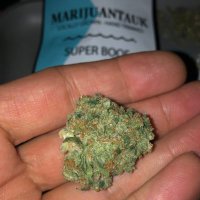 I 💚 NY Cannabis (@ilovenycannabis) 's Twitter Profile