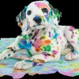 InnovOps_Spot's profile picture. Innovation meets operation. 
We strive everyday to put people at the center of business.