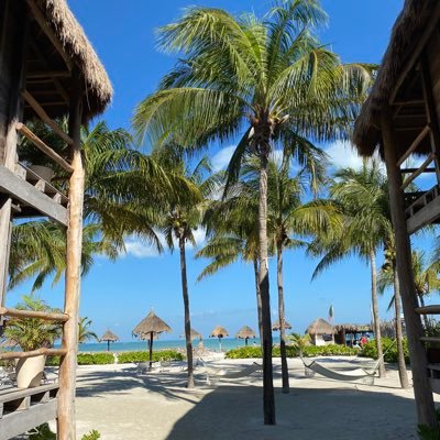 rcinvesting's profile picture. 