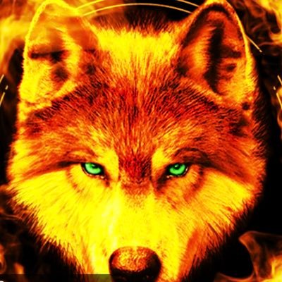 fedupofthebs's profile picture. 