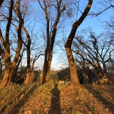 鎌倉在住。自然のなかに溶け込む活動をやってます。 日常の活動はインスタグラムで日々更新中。 https://t.co/YJOw6jZbG8…