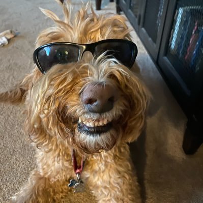 minniesnowtan's profile picture. TN ➡️ MN | Gamecock Alum | Current Minnesnowtan