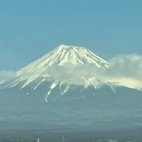 うめにゃん (@mmmytume) 's Twitter Profile
