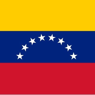 PROFESOR Y ADMINISTRADOR DE EMPRESAS (PTE COMISIÓN ELECTORAL FECLAVE), DE FE CRISTIANA, DE LOS GLORIOSOS LEONES DEL CARACAS Y QUIERO EL PROGRESO PARA MI PAÍS