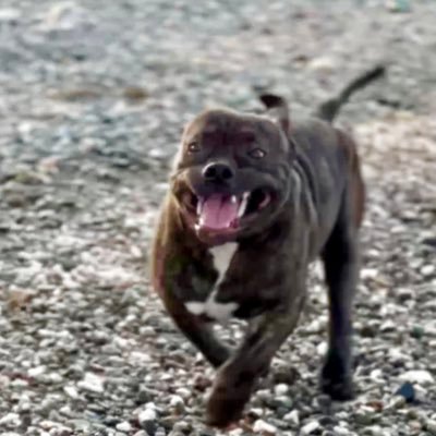 henryhanep's profile picture. '97