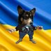 Corgi Fella Все Буде Україна (@corgi_fella) Twitter profile photo