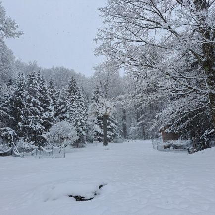 X2erNaL1's profile picture. X2erNaL • 2x LAN • 2x WAN • 2 Samuel 6:14