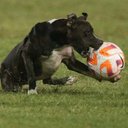 Cheasdru23 - @Milton070Juarez - Twitter