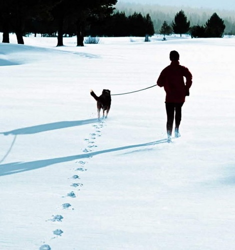 scoach46's profile picture. 