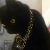 mealtre's profile picture. @_@