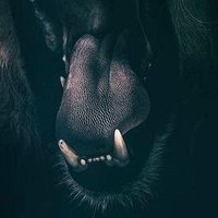 cn (@brkava) Twitter profile photo