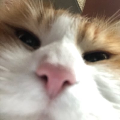 zen788s's profile picture. 20