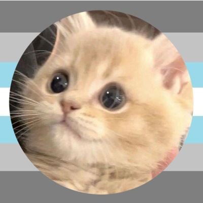 purrrdun||🇺🇦さんのプロフィール画像