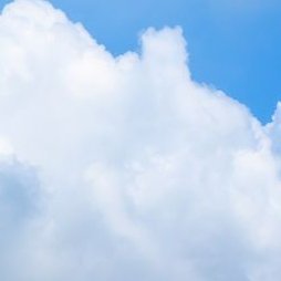 Erin24803's profile picture. ....