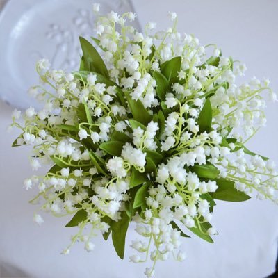 Muguet1105's profile picture. 