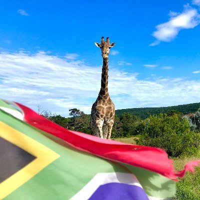 A place where the fun never ends🌻
Email: info@areenaresort.com
Phone: +27 (0)43 734 3055