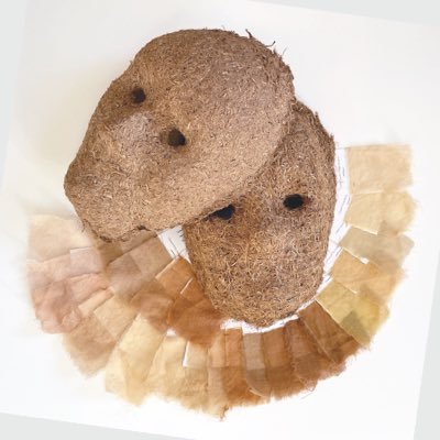 EcologiasLupulo's profile picture. Plataforma de investigación sobre la imagen del lúpulo, sus residuos y el registro de la memoria de sus culturas de cultivo #ArteCiudadano #Carasso