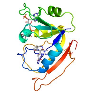 東京大学 新井研究室 Arai Lab @ Univ of Tokyo Profile