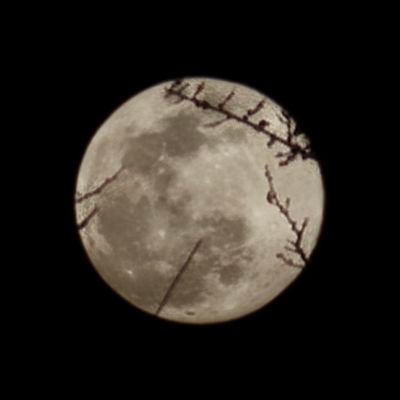 PaulSan22722170's profile picture. 