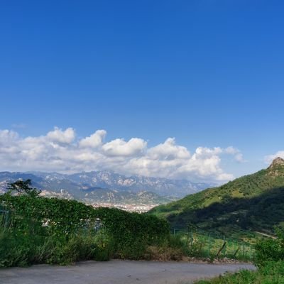 dolph62002's profile picture. 