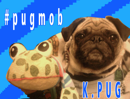 fun loving pug dog. world's greatest Pug I post pictures and videos of me and my friends. :) #pugmob