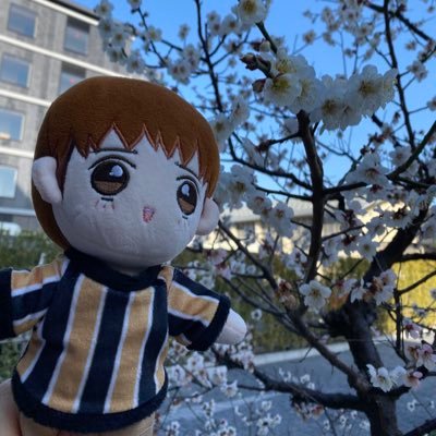 vanileung1's profile picture. 