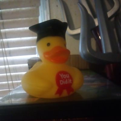 Brandon03726714's profile picture. level 22 pansexual goblin, any pronouns.