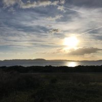 Leycel (@leycel3) 's Twitter Profile