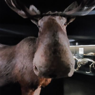 arttttki's profile picture. NTM