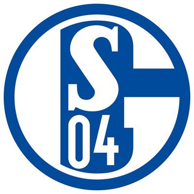 Der FC Schalke wird nie untergehen! 💙 #GoPackGo