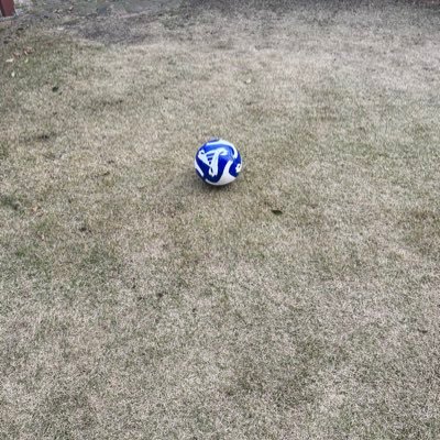 nandmakadel's profile picture. みなさん仲良くしてください