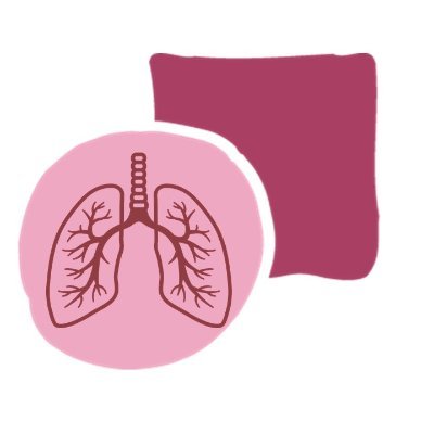 Recerca bàsica-traslacional en l'àmbit pulmonar a l'I3PT 👩🏻‍🔬💊🧫🔬🦠