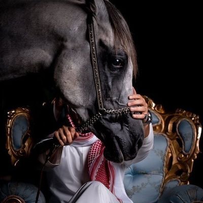 muhamad76351338's profile picture. 