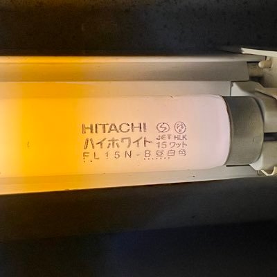 cocoder_c's profile picture. 