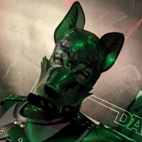 Ⓐstray 🔜 MRM (@astraypup) 's Twitter Profile