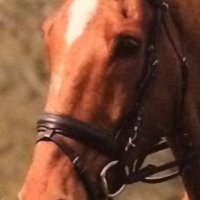 Jamin 🐭 (@ben_jamin09876) 's Twitter Profile