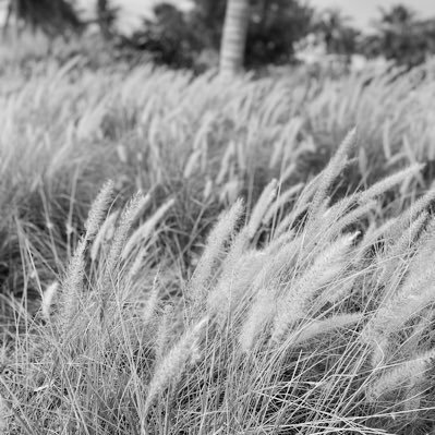 rsh_b3's profile picture. علمّني يآ عليمّ . . ()'