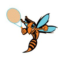 South Gibson Tennis (@sgctennis) 's Twitter Profile