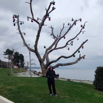 AyferKucuk34's profile picture. 