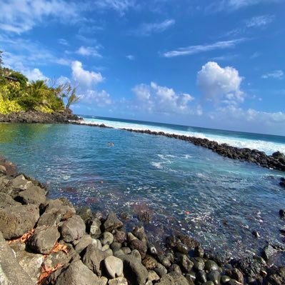 charlesthouin's profile picture. 