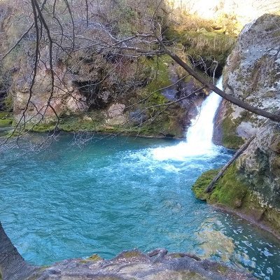 NZumendi's profile picture. 