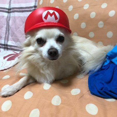 うぃーす！！